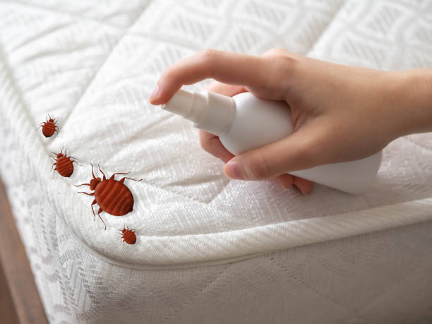 Best Residential Pest Control  in Andrews Af, MD