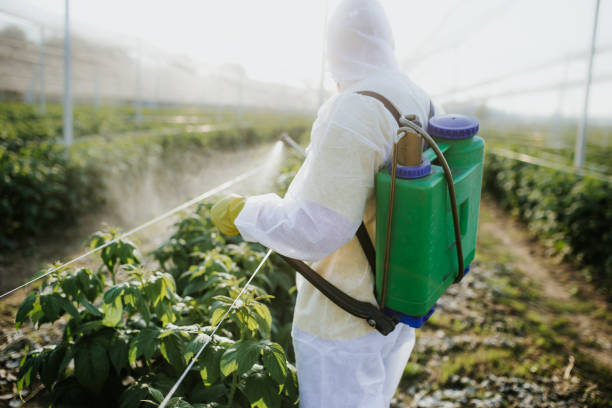 Best Insect Control  in Andrews Af, MD